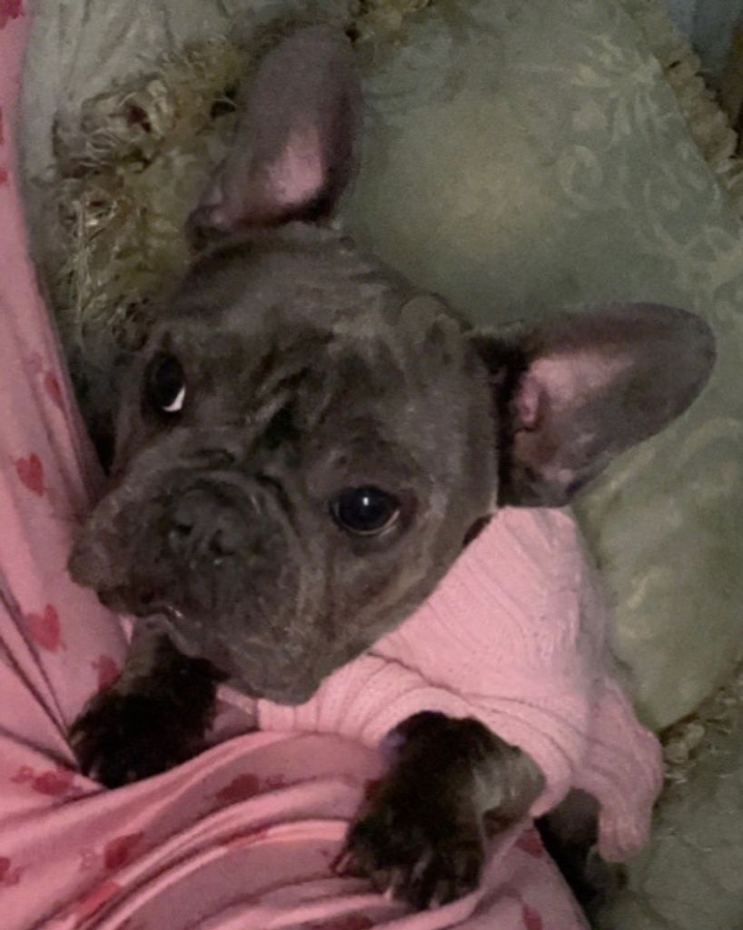 Poppy ♥ Profile Photo