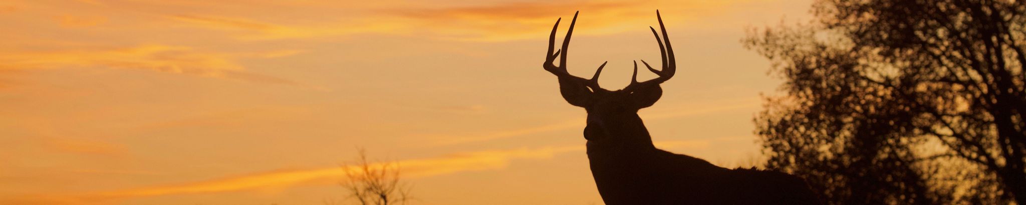 Cover photo for Seth Alan VanPelt's Obituary
