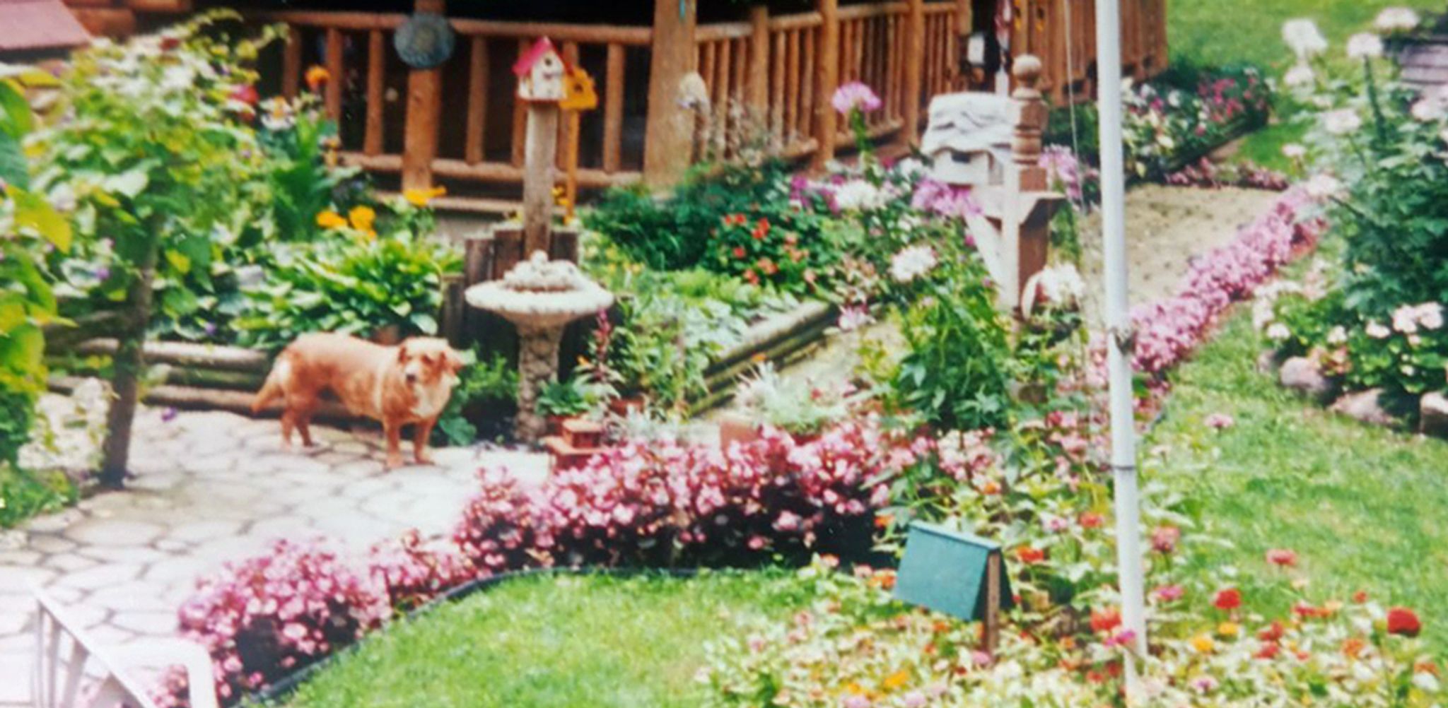 Cover for Sharon Elaine Phillips's Obituary