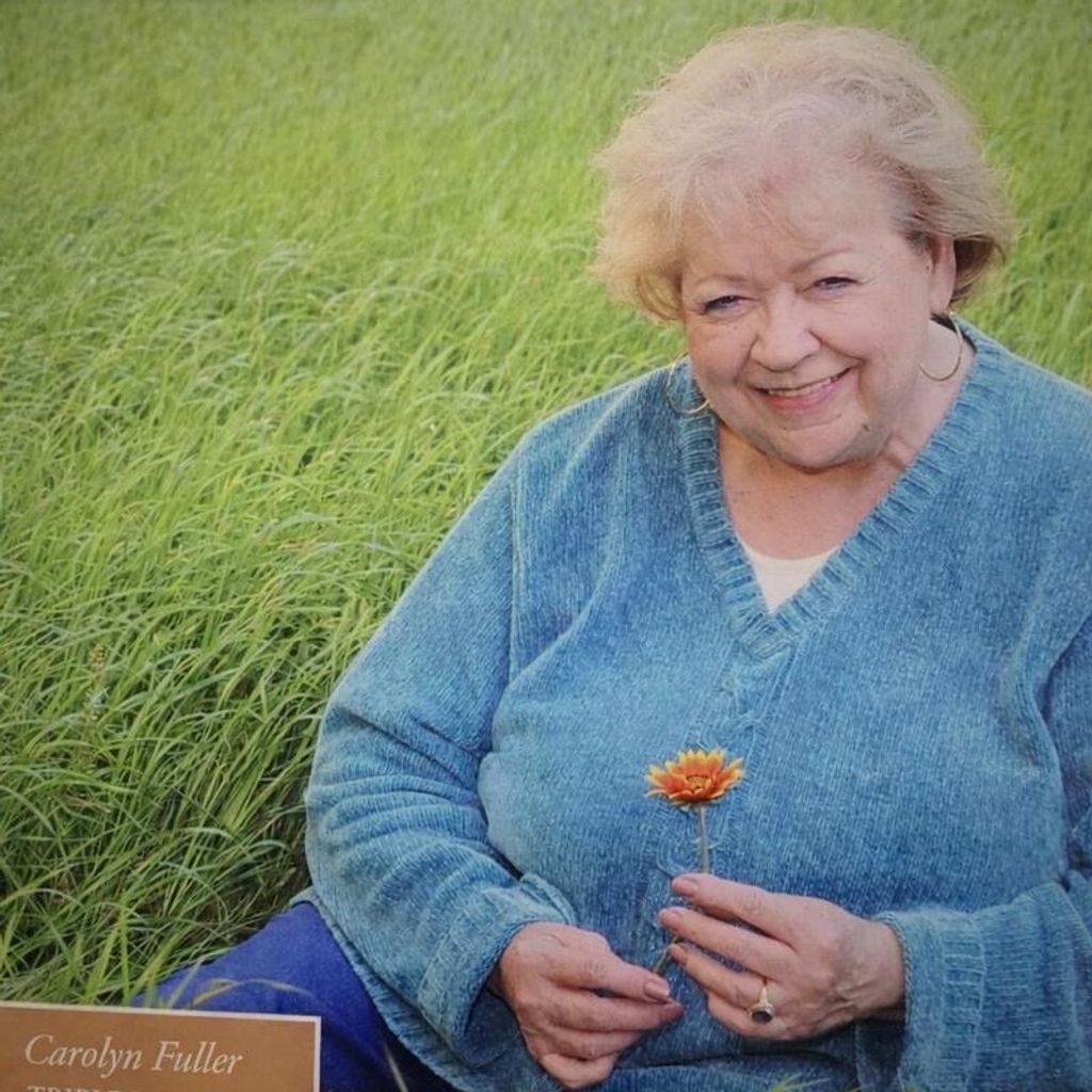 Carolyn Ann Mcclain Fuller