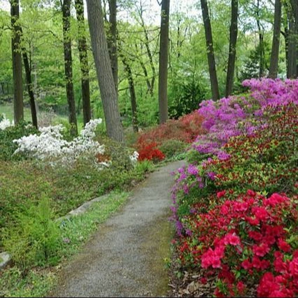 James Clair Shelly Profile Photo