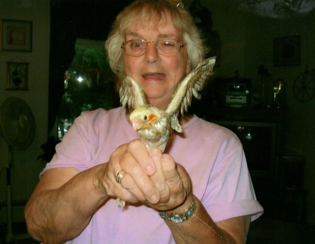 Judith Ann (Bruen)  Marcheterre