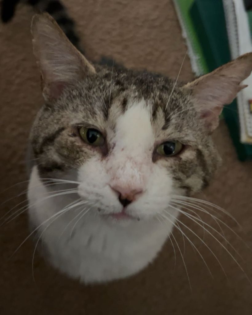 Kiki Runkel Profile Photo