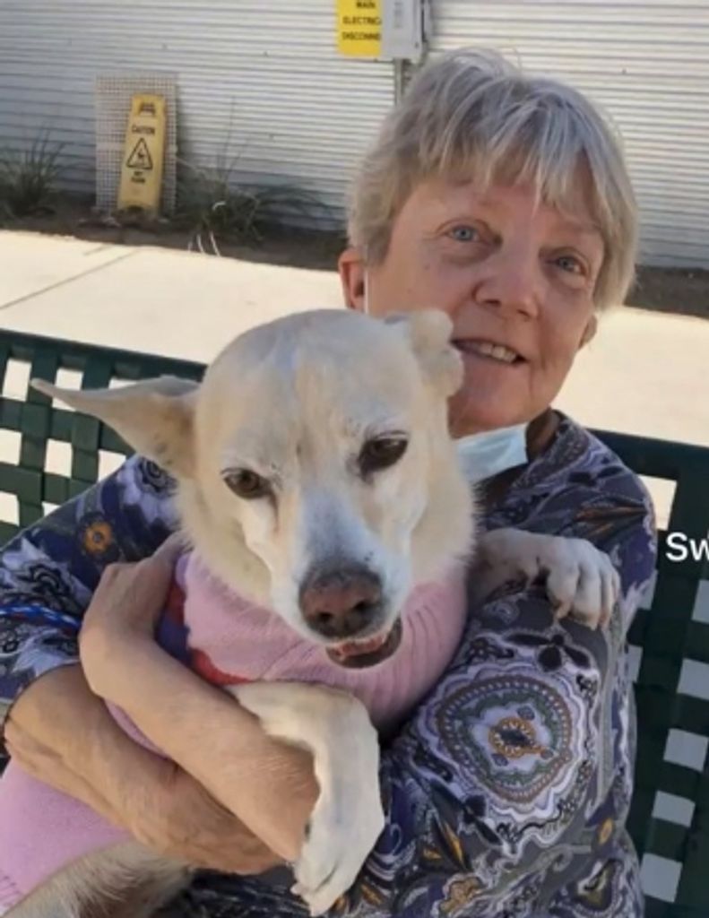 Carol Jane Welch Profile Photo