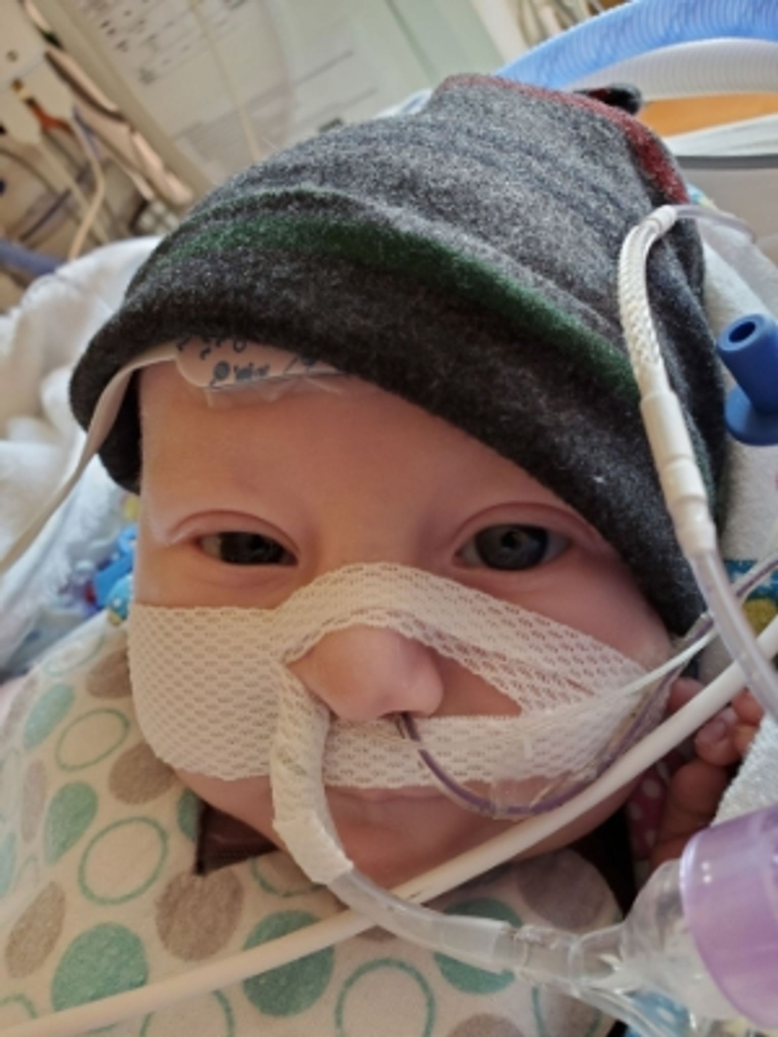 Caleb Oliver Schuh photo gallery image 1 of 5