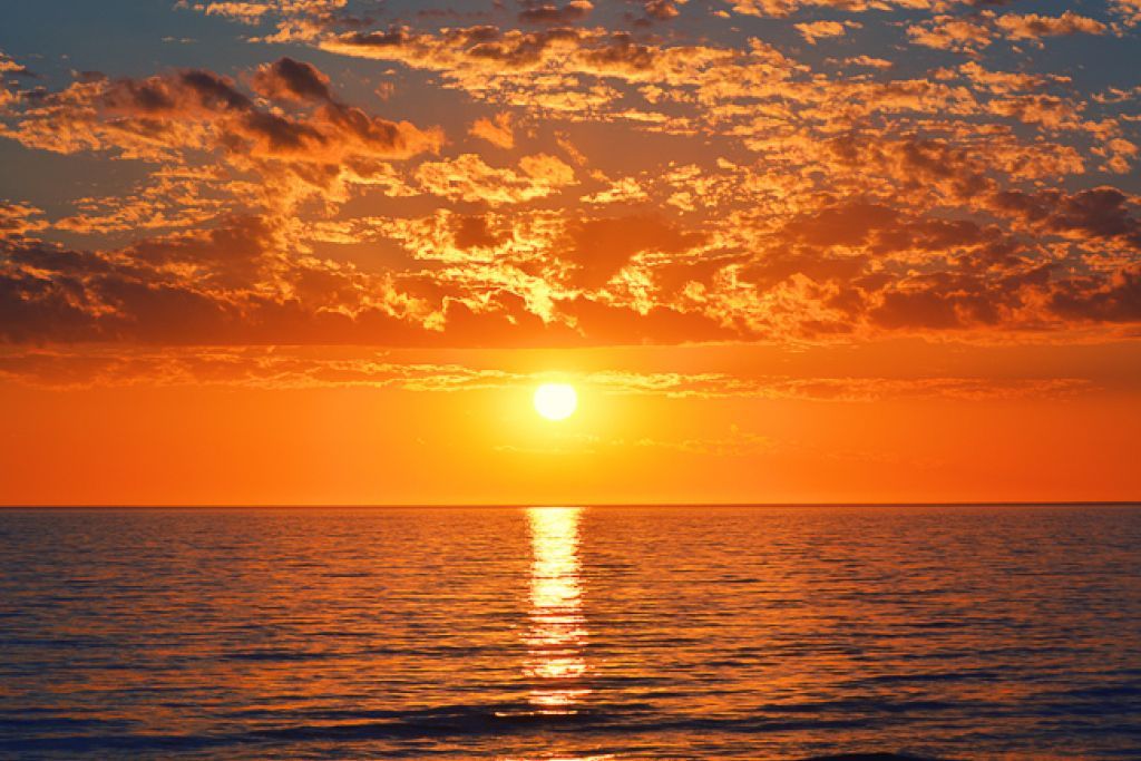 Carolyn A. Carroll Profile Photo