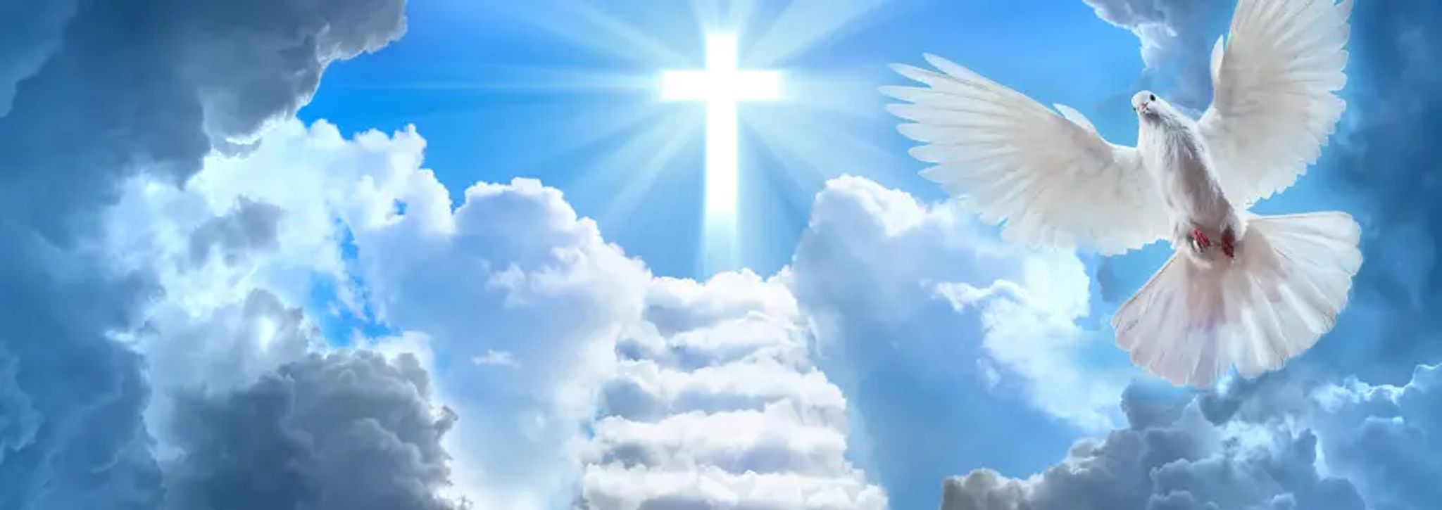 Cover for Ardeth N. Haines's Obituary