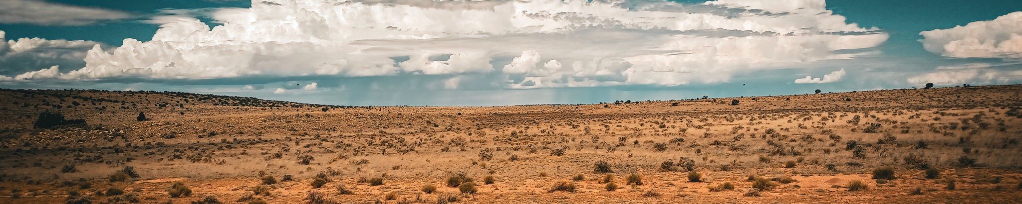 Cover for Larry Joe Green's Obituary