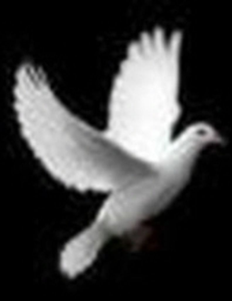 Clyde D. Skidds, Jr.