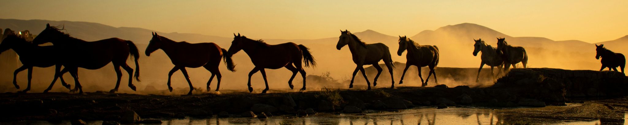 Cover for Darliss 'Dar' Garrow's Obituary