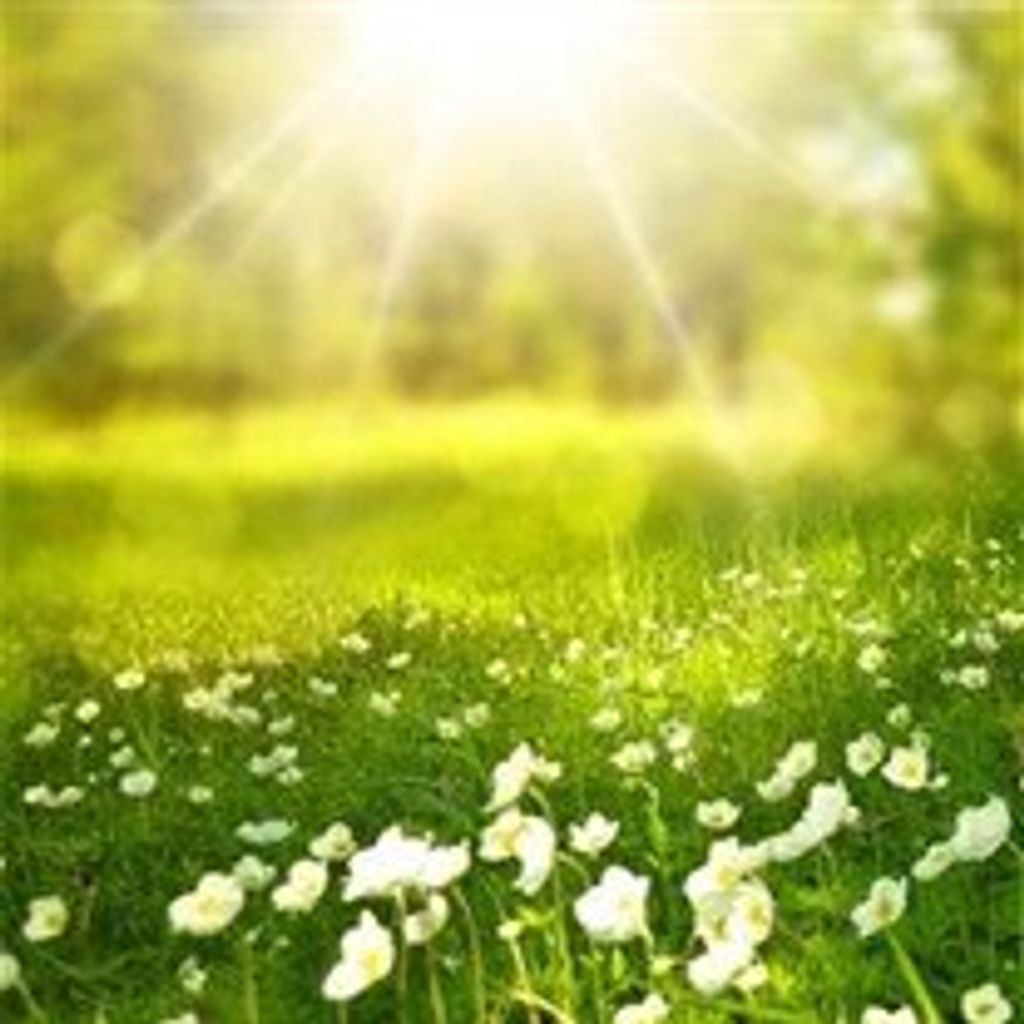 Carolyn  Shoshana Riemer