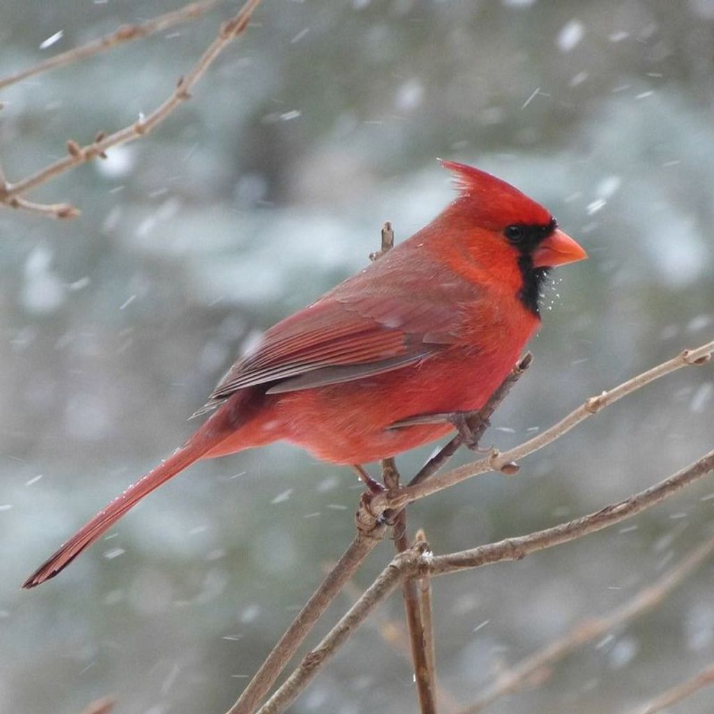 Sandra Escobar Profile Photo