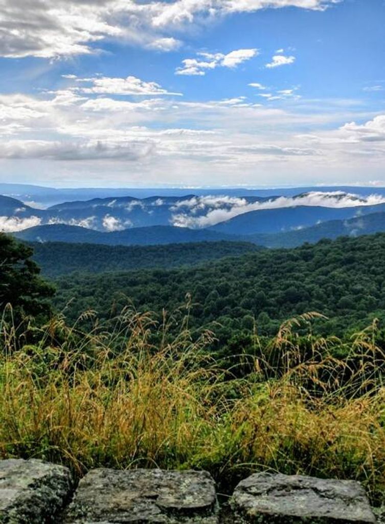 Allen Middleton Stead Profile Photo
