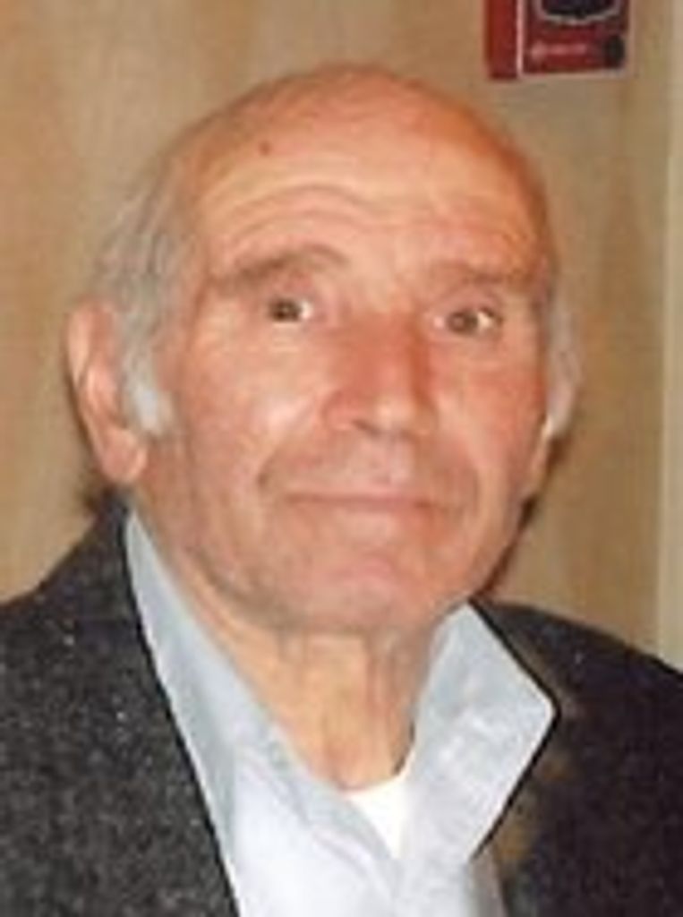 Domenico Totino
