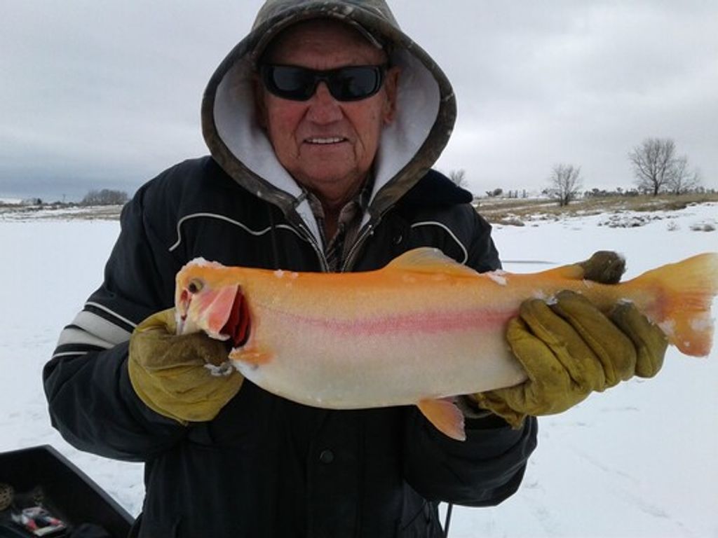 Douglas Glen Griffeth