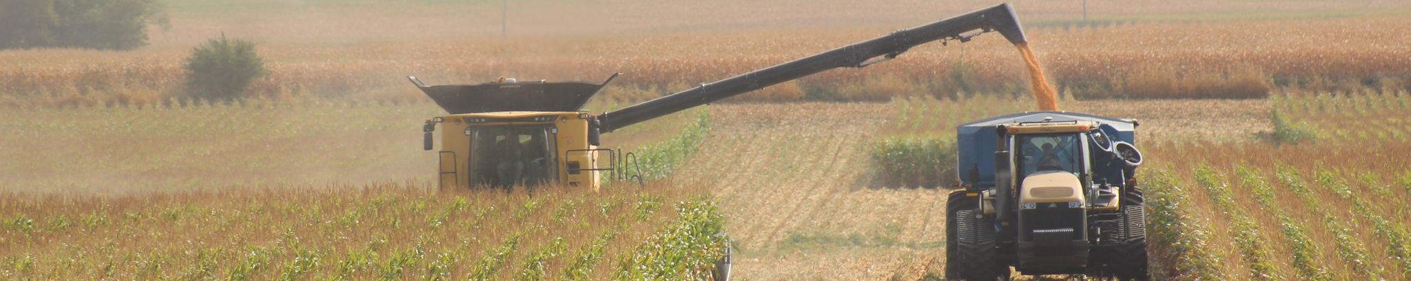 Cover for Ronald Wiertsema's Obituary