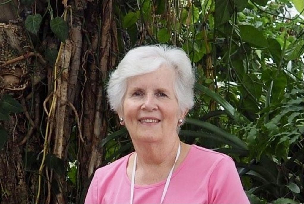 Lou Ann Davison Profile Photo