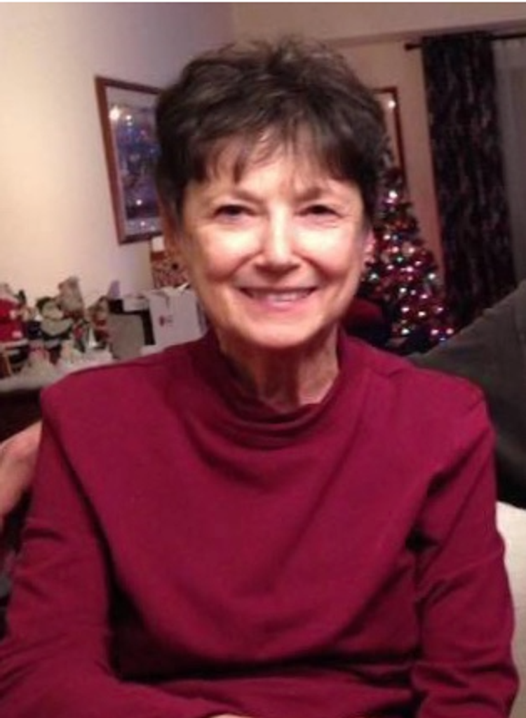 Shirley Ann (Medzie)  O'Brien