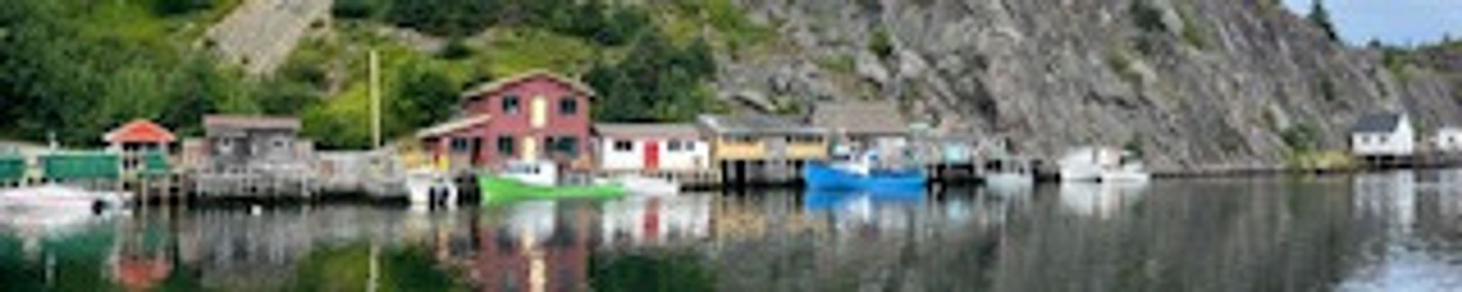 Cover for Fred Borg's Obituary