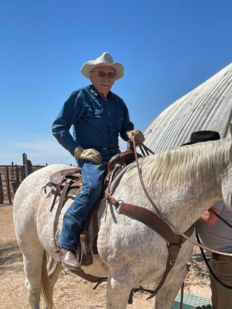 Donald D. Wilson Profile Photo