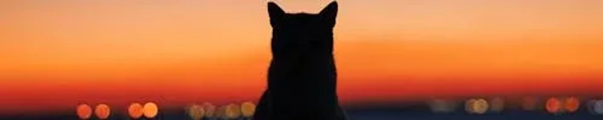 Cover for Maisy Savage's Obituary