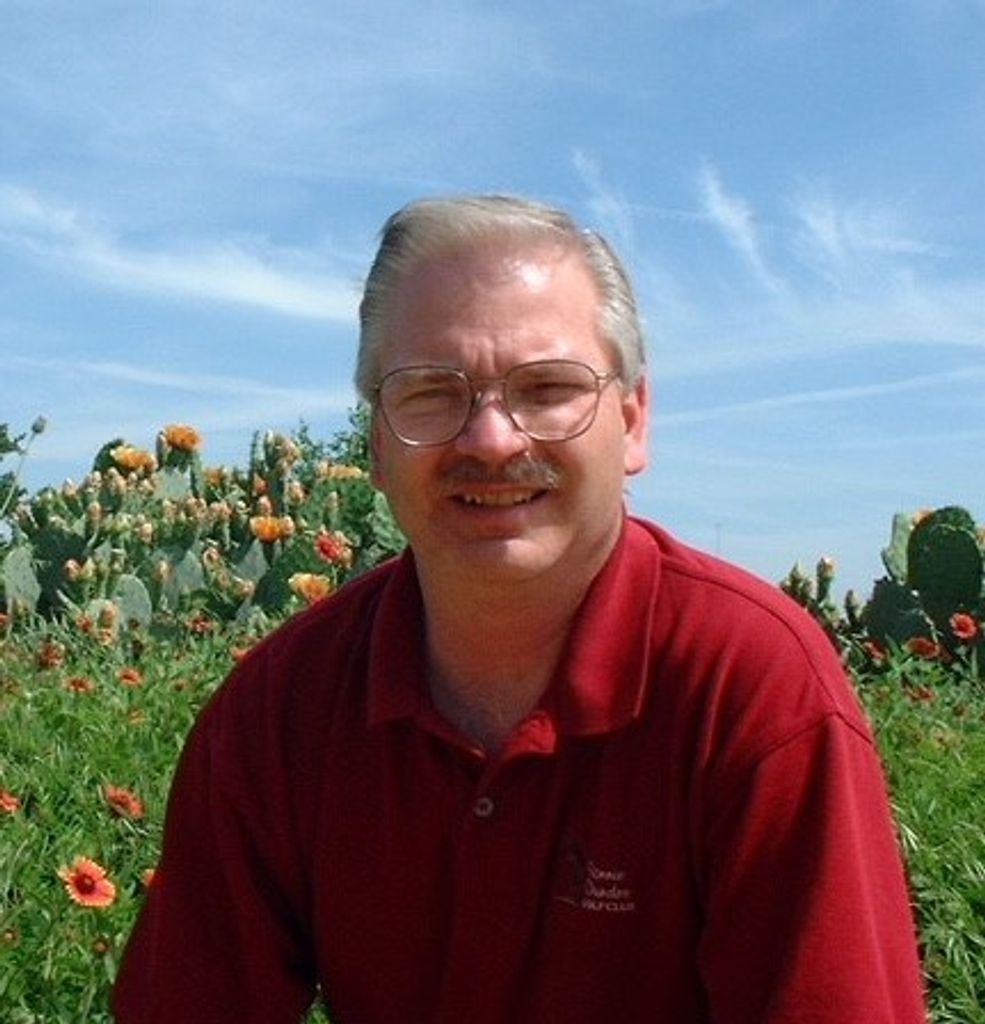 David  A. Paulsen
