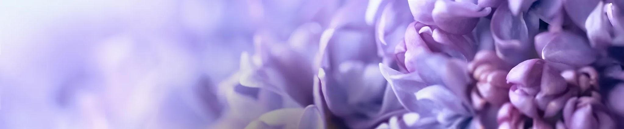 Cover photo for Carol Ann Goodsell's Obituary