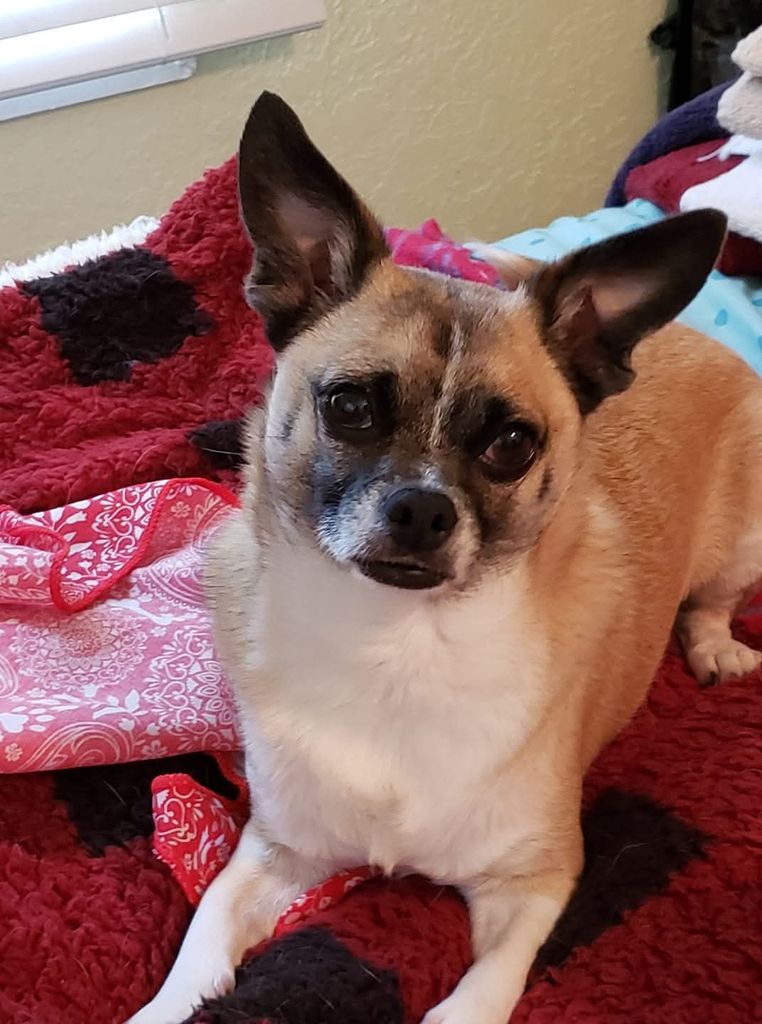 Peanut Mercer Profile Photo