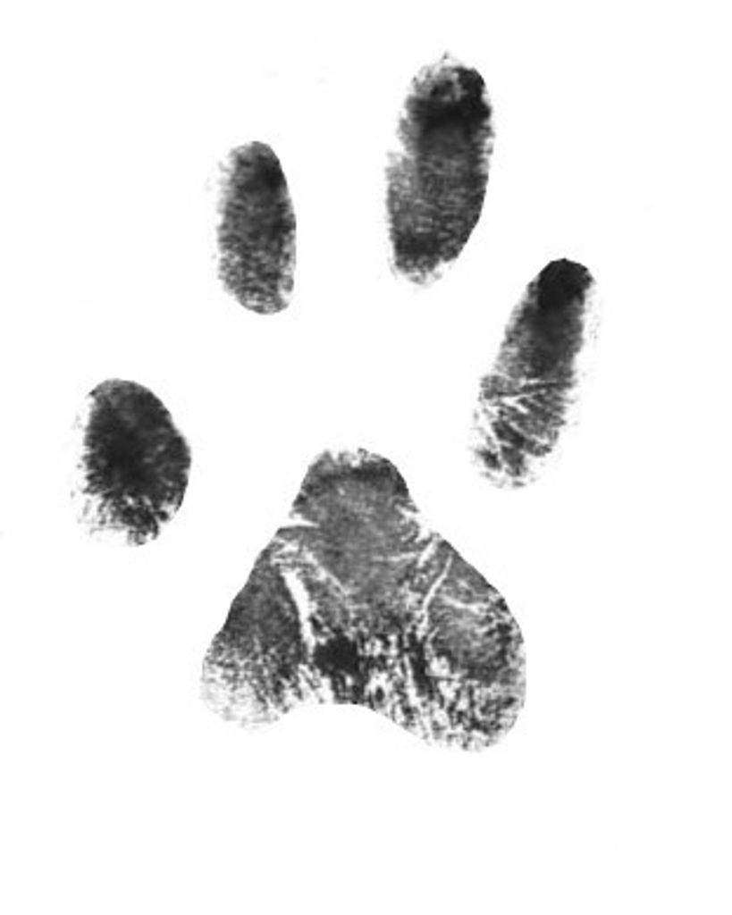 Hermes Riley Profile Photo