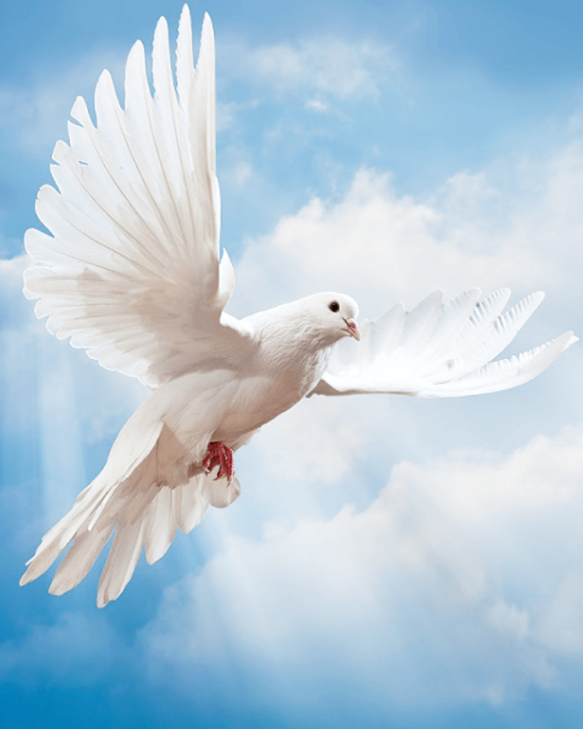 Ida M. Linzy Profile Photo