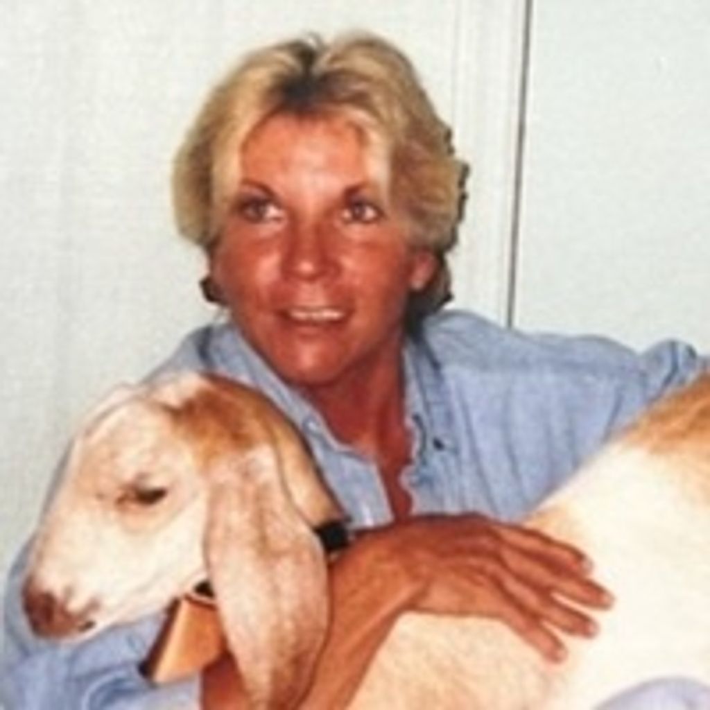 Christine Bell Tellefsen