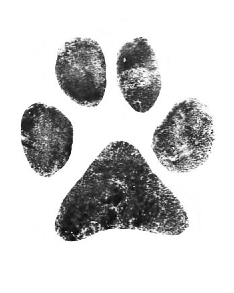 Sarah Cooke Profile Photo