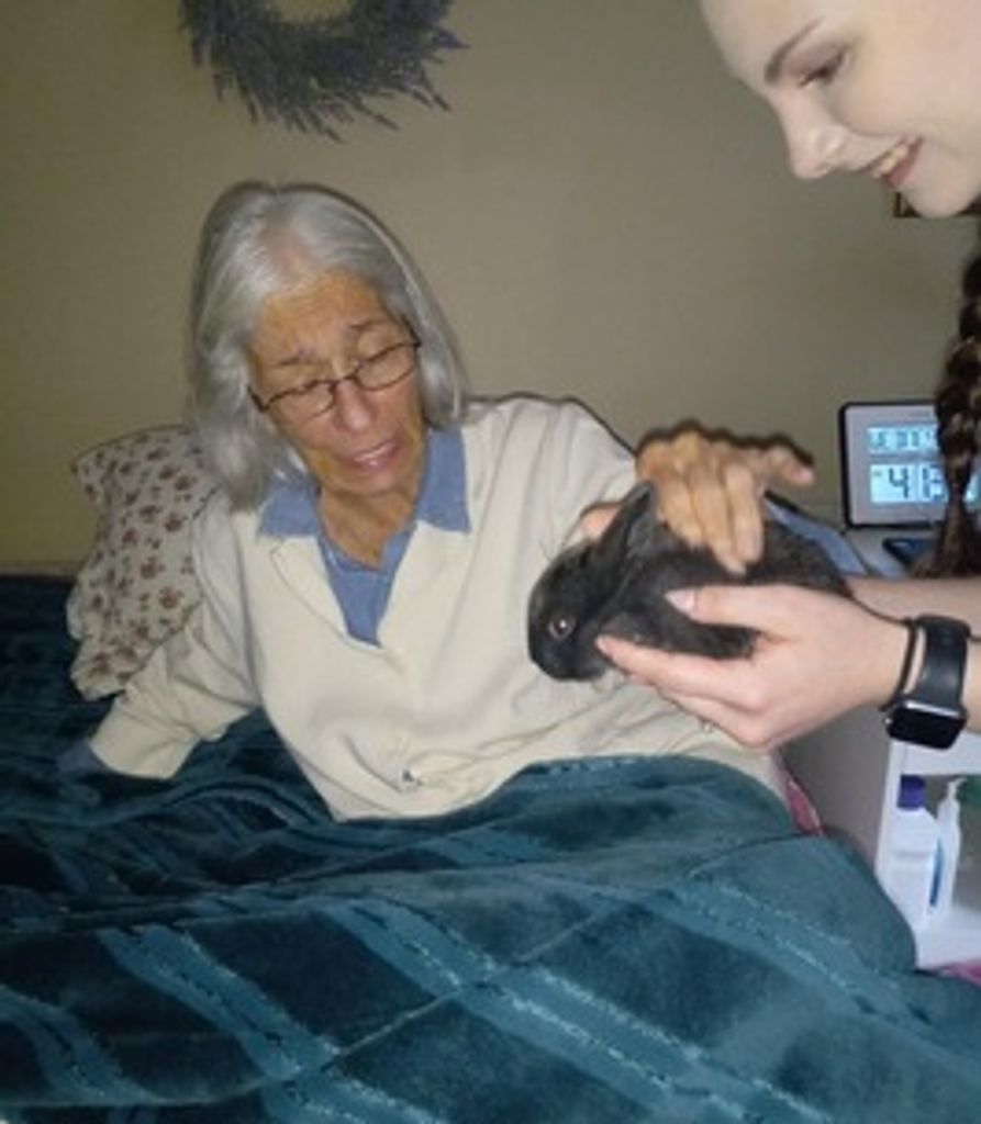 Diana Seagle Profile Photo