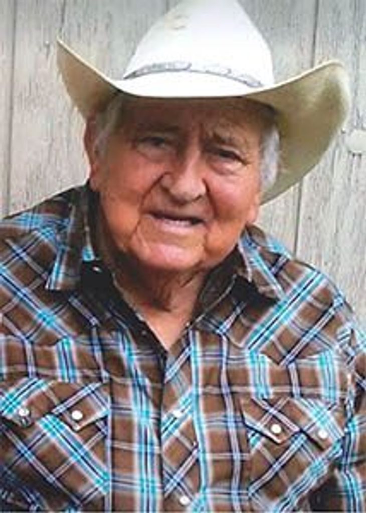 Doyne York Profile Photo