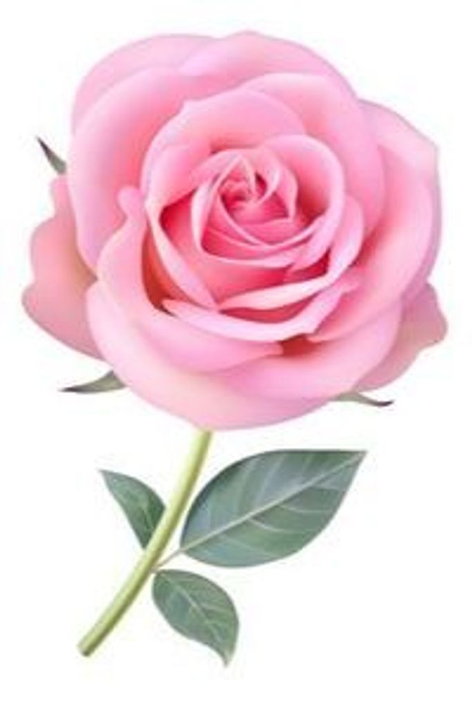 Jacqueline Woodard Profile Photo