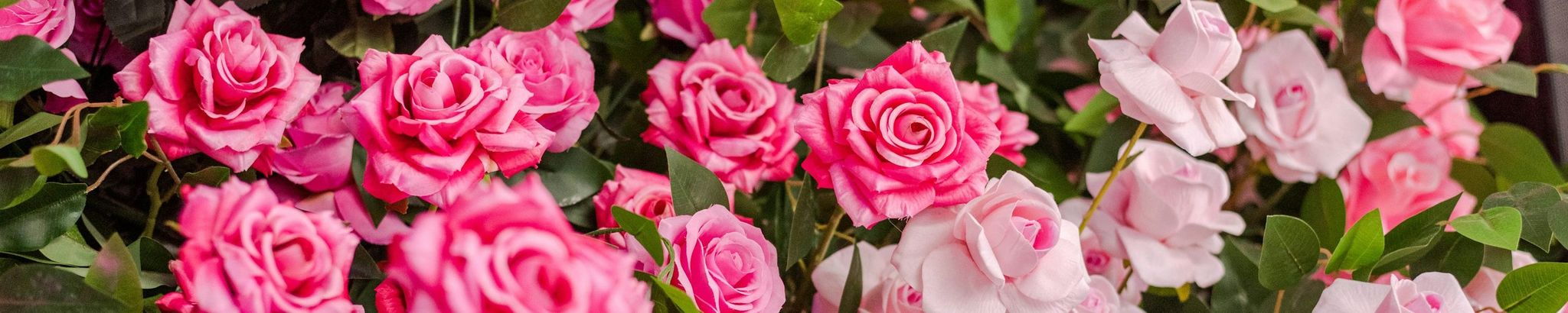 Cover for Lori Ann Grenz's Obituary