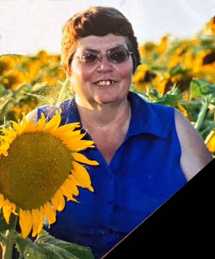 Lois Ann Haas