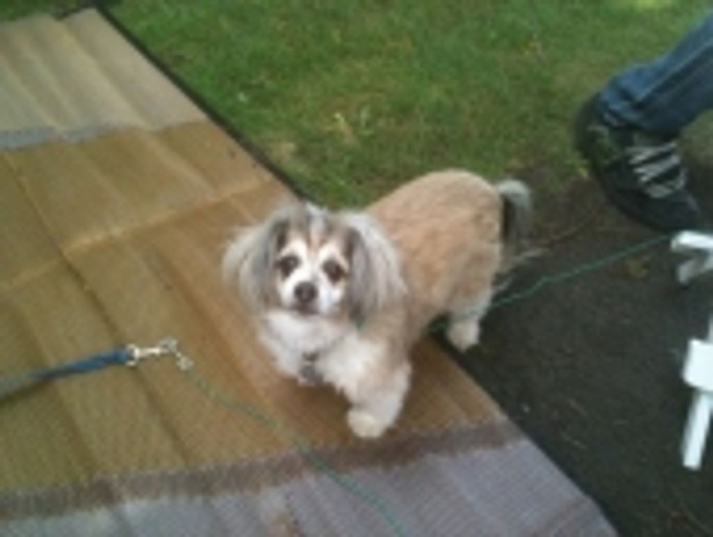 Morgan Walsama Profile Photo