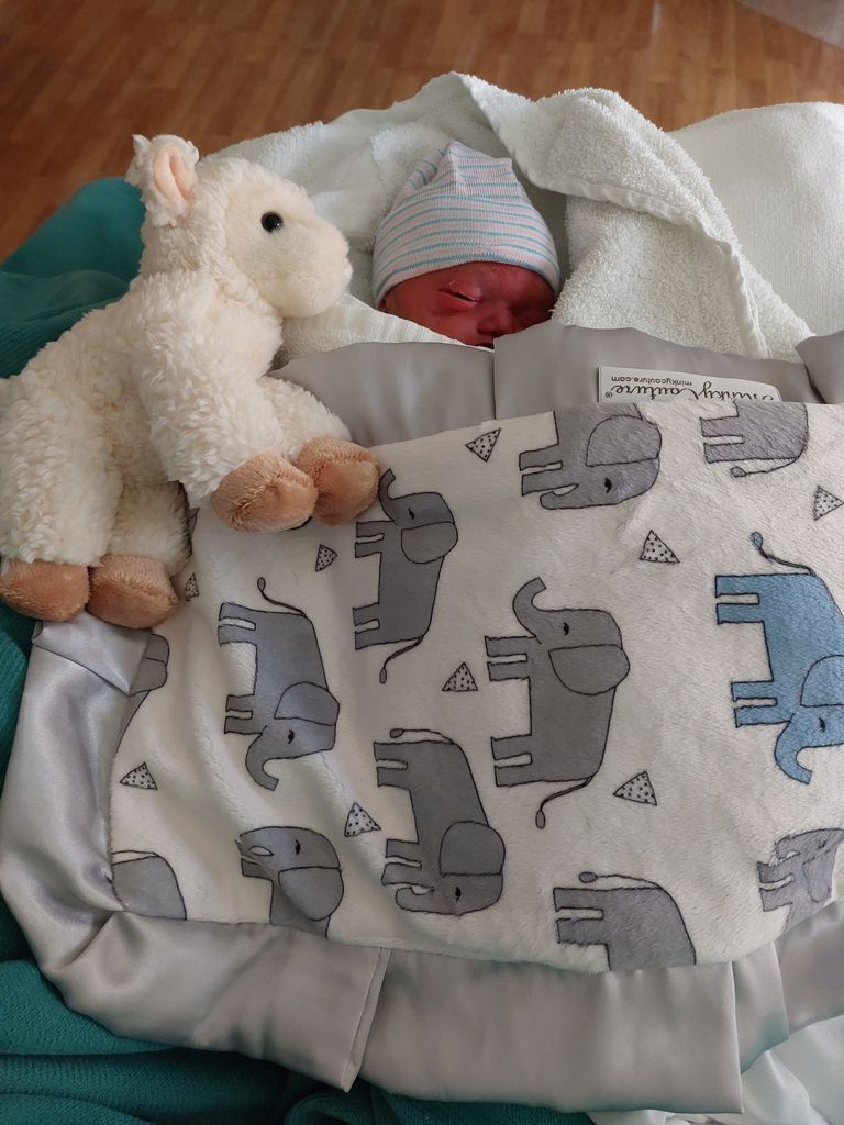 Waylon J Morris Poike