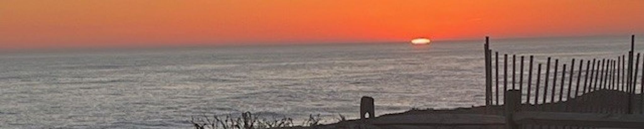 Cover for Florence Mapes's Obituary