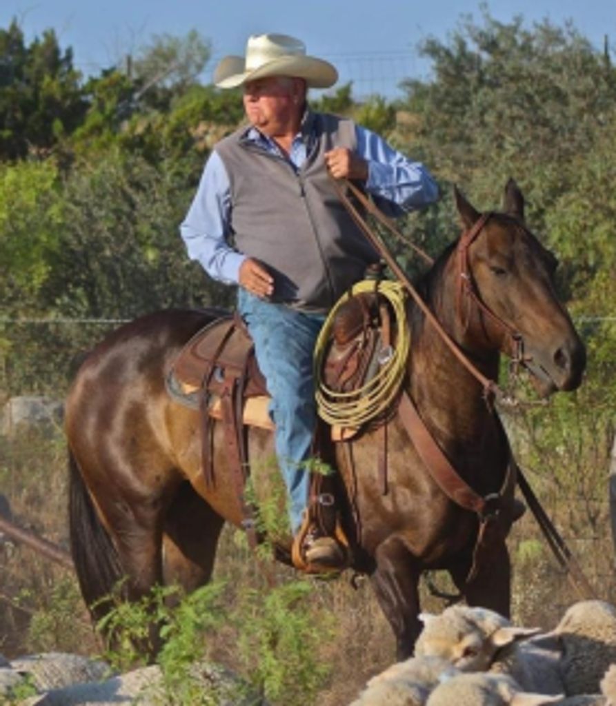 Mike Jernigan Profile Photo