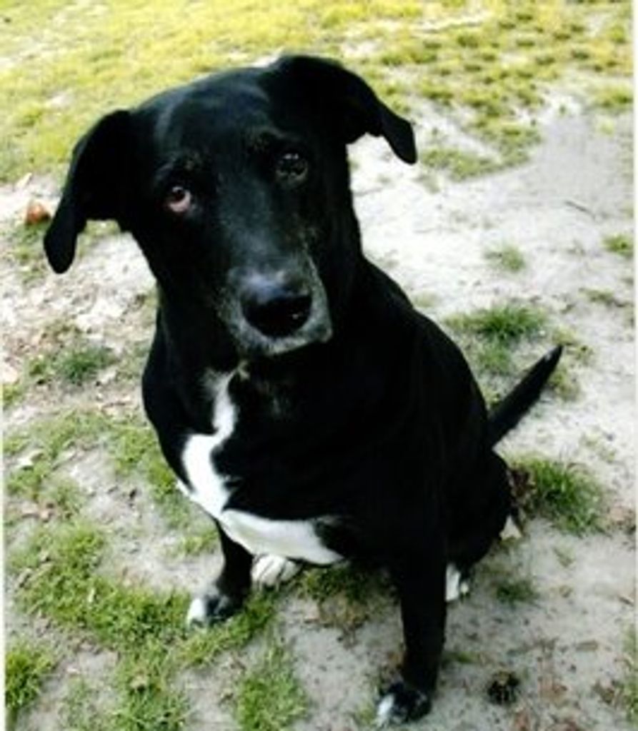 Bella Lickey Profile Photo