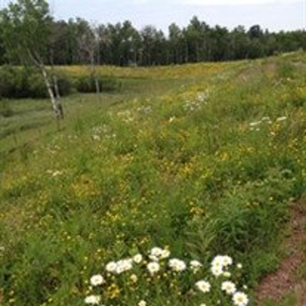 Talbert  Ivern Oland