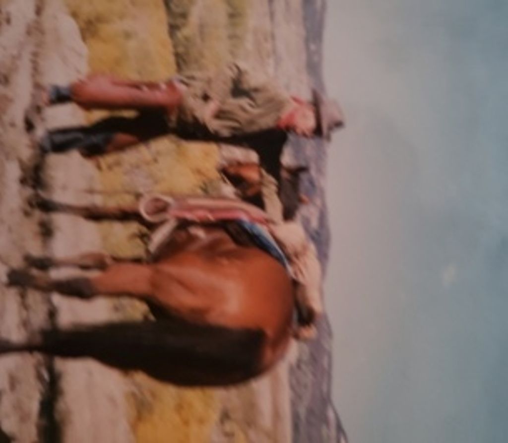 Joel Jensen Profile Photo