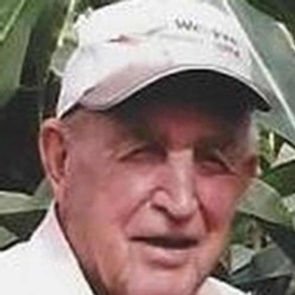 Dale Peterson