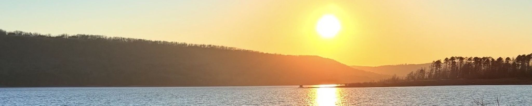 Cover for Dennys Tejada Gustafson's Obituary