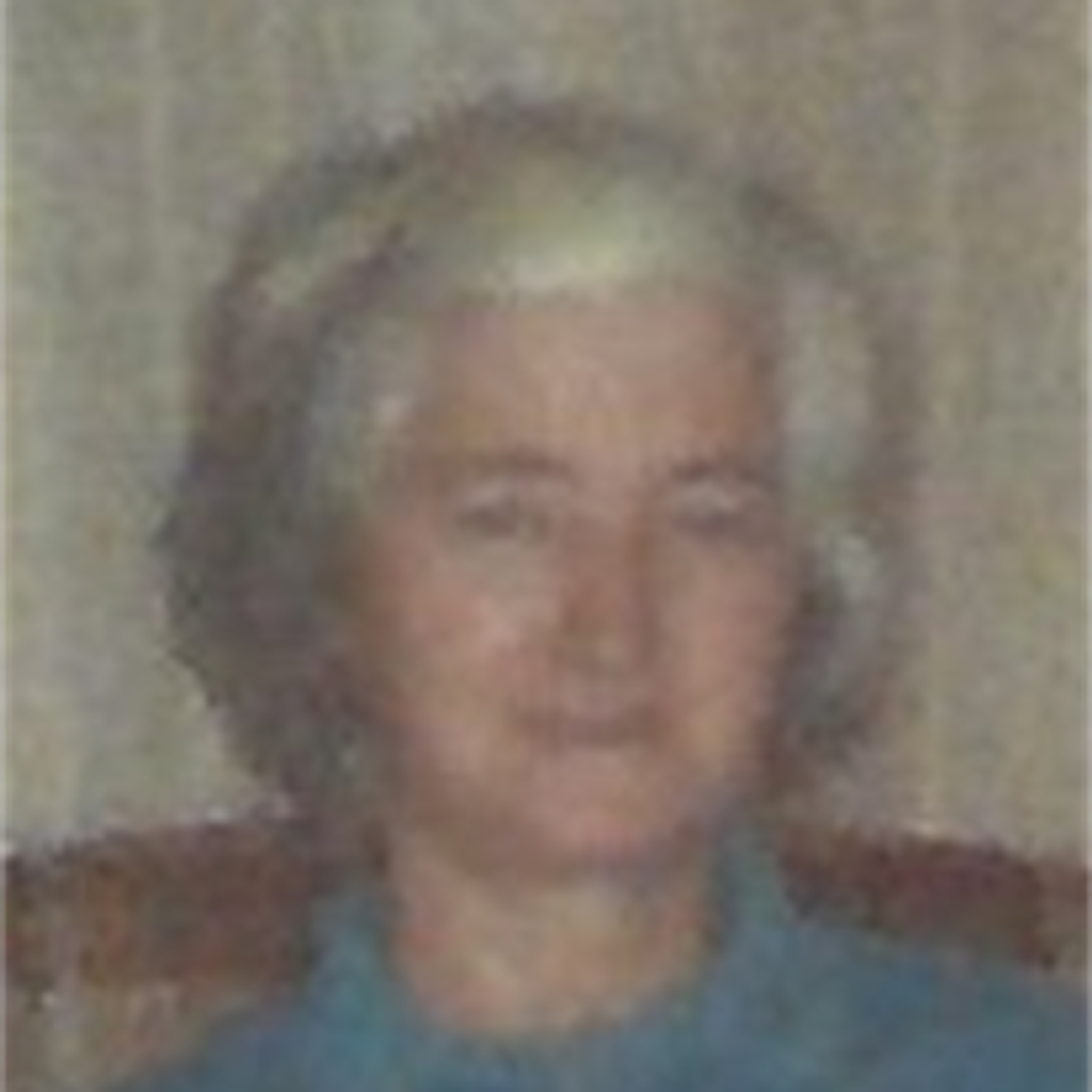 Maria N. Perez
