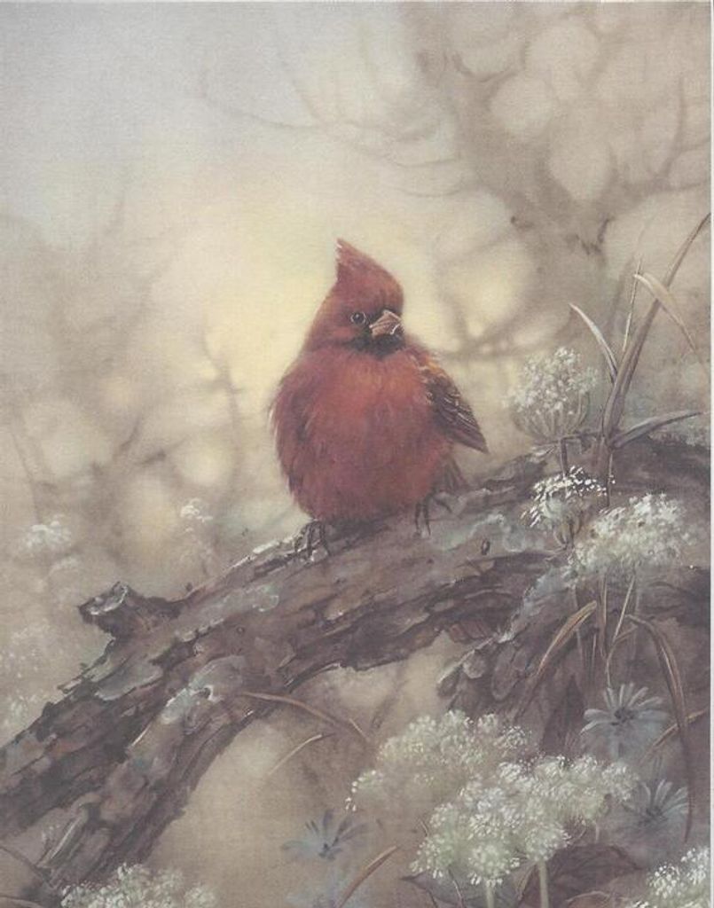 John Nevin