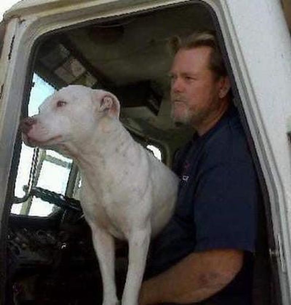 Robert Joseph 'Bobby' Horn Profile Photo