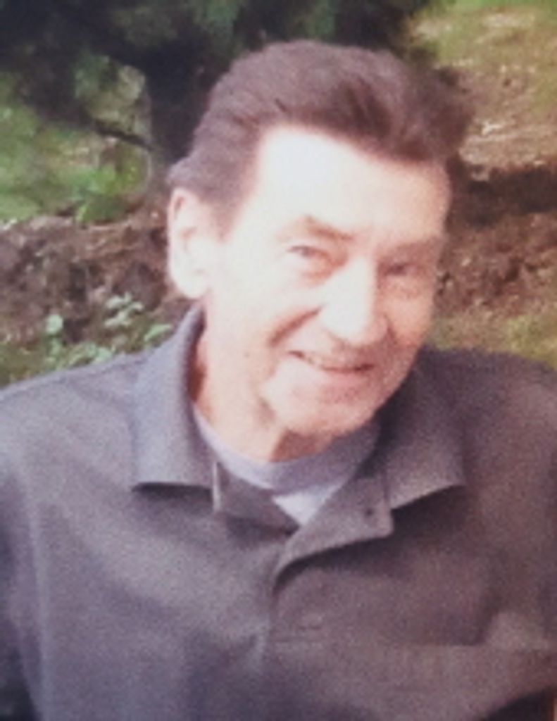 Roy Malik, Jr.